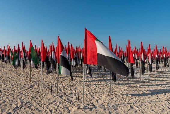 Drapeaux des EAU plantés sur une plage.