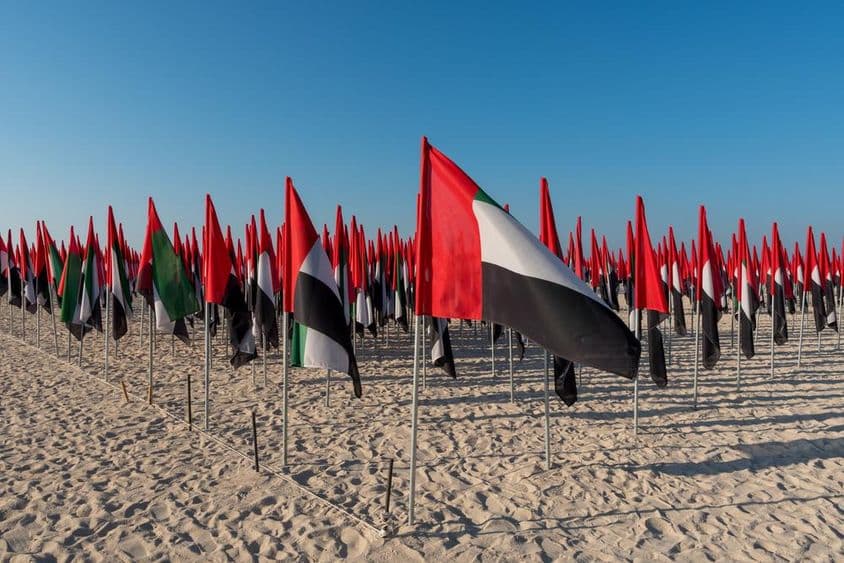 Drapeaux des EAU plantés sur une plage.