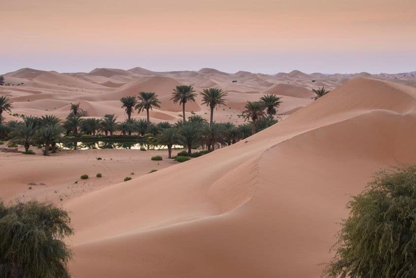 Dunes de sable du désert à Al Ain, Émirats Arabes Unis.
