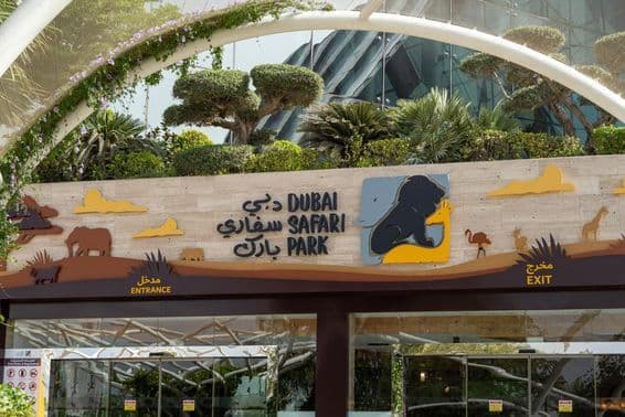 Parc Safari de Dubaï.