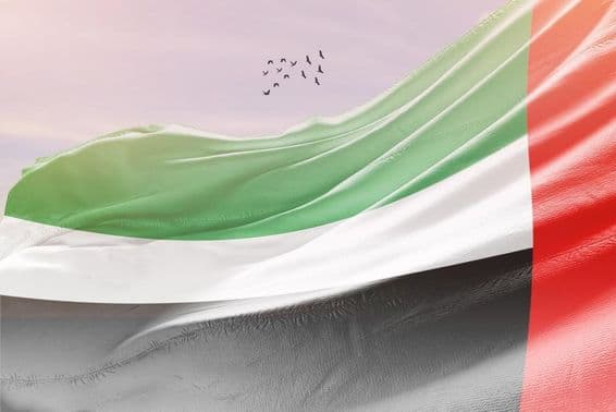 Drapeau des Émirats Arabes Unis flottant au vent.