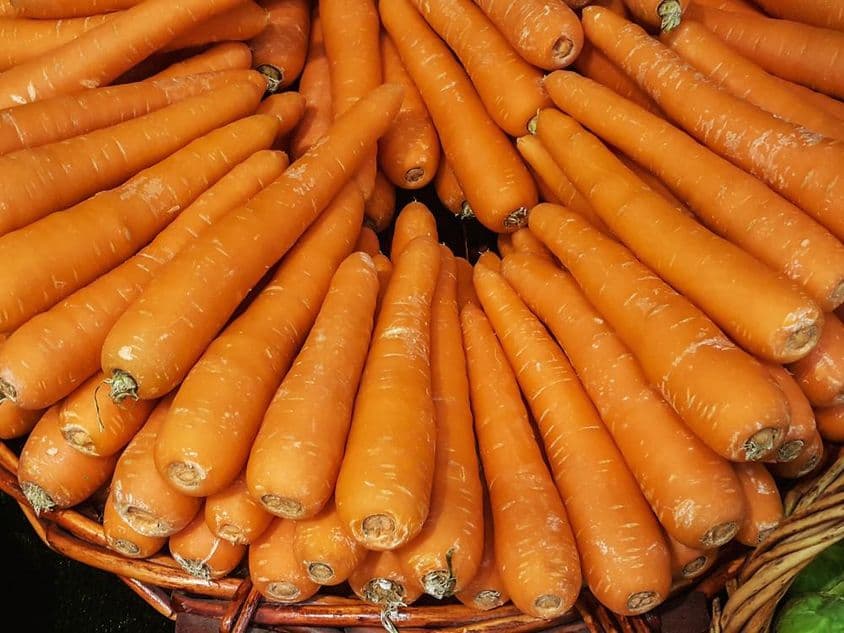 Carottes.