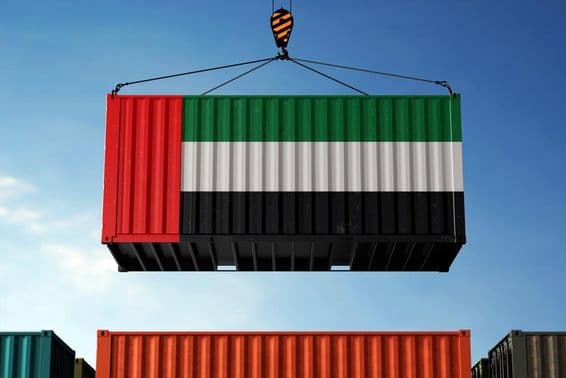 Une grue soulevant un conteneur peint aux couleurs du drapeau des EAU.