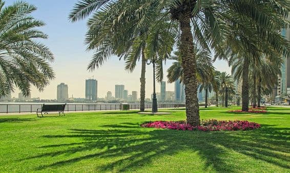 Pelouse verte près du front de mer à Sharjah.