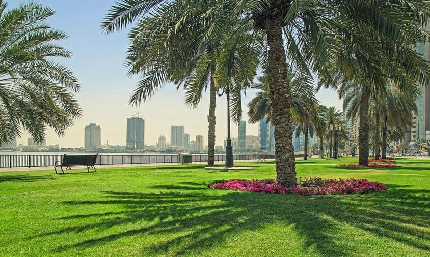 Pelouse verte près du front de mer à Sharjah.