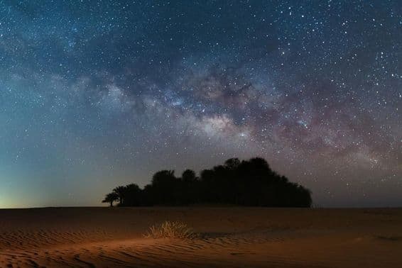 Les étoiles nocturnes remplissent le ciel lacté au-dessus du désert d'Oasis.