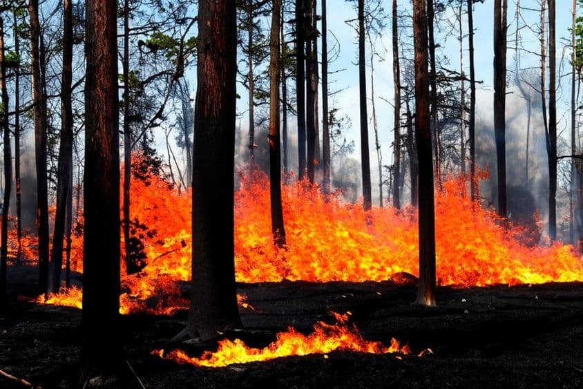 Un incendie est en cours à Los Angeles, Malibu, USA.
