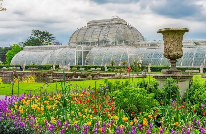 Serre aux palmiers dans le jardin botanique au printemps.