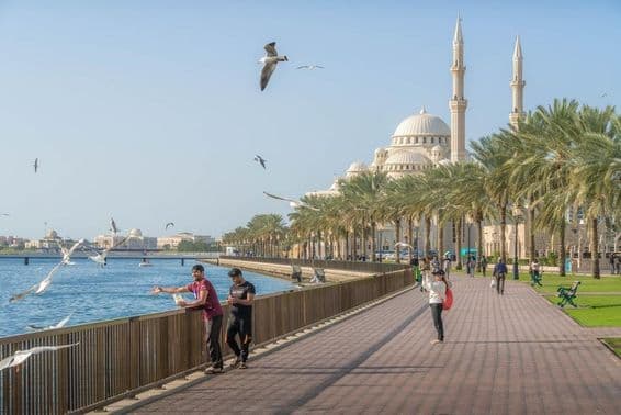Sharjah, avec la mosquée Al Noor, Khalid Lagoon et le Golfe Persique, entourée de palmiers et une vue sur la ville.
