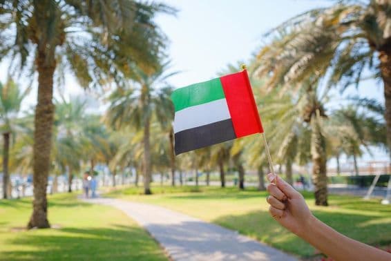 La main d'une femme tenant un drapeau miniature des Émirats arabes unis dans un parc d'Abu Dhabi.
