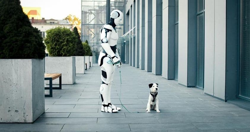 Un robot alimenté par l'IA promenant un chien le matin.