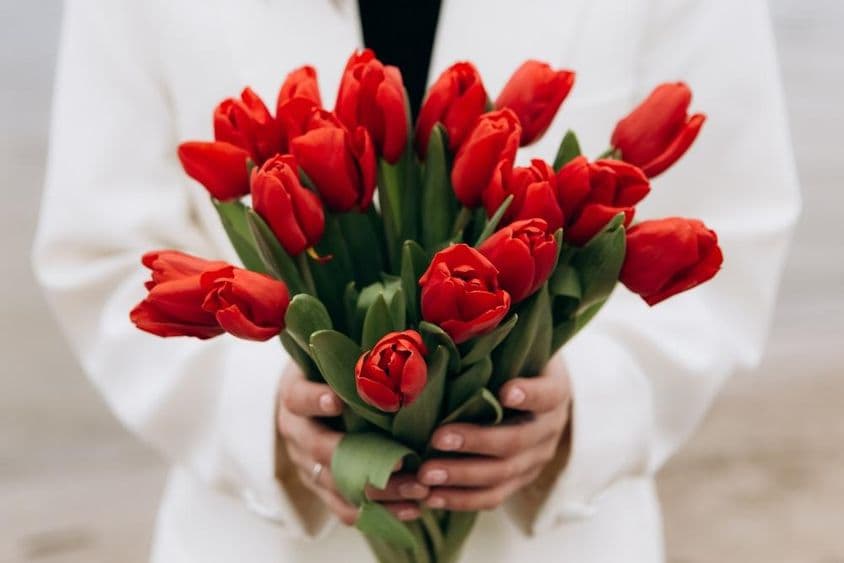 Un bouquet de fleurs de tulipes rouges.