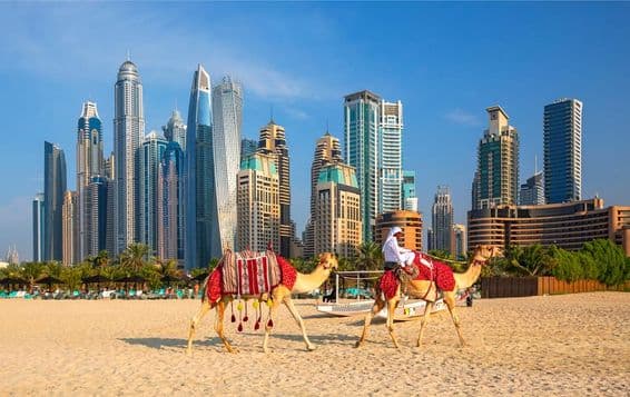 Vue de Dubaï Marina, chameaux et la célèbre plage Jumeirah à Dubaï.