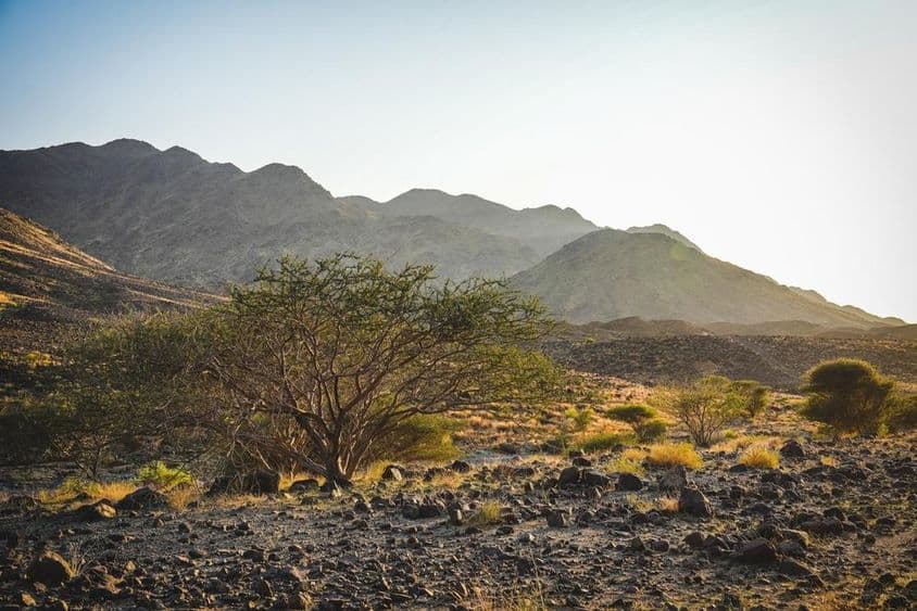Le terrain accidenté de Wadi Shawka à Ras Al Khaimah avec des sentiers rocheux.