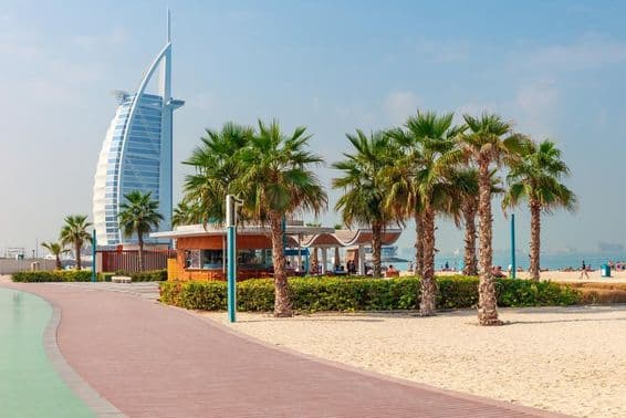 Belle plage avec palmiers à Dubaï.