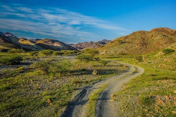 Montagnes vertes aux Émirats Arabes Unis.