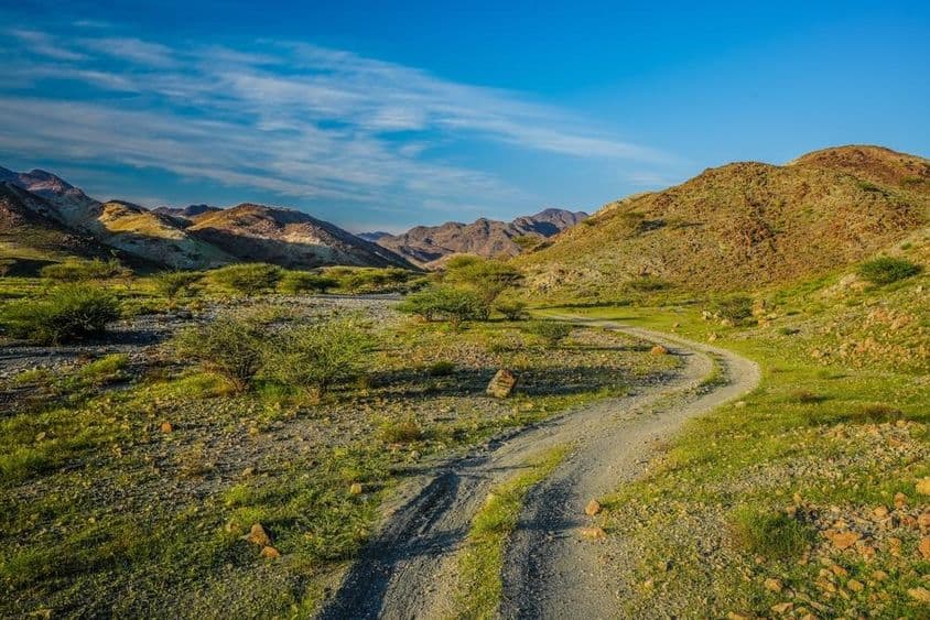 Montagnes vertes aux Émirats Arabes Unis.