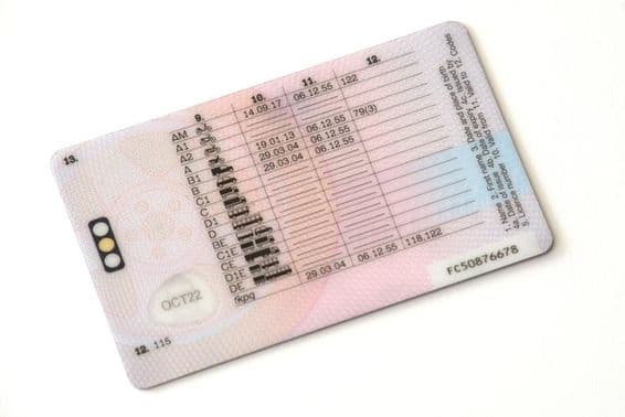 Dos d'un permis de conduire.