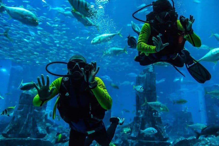 Grand aquarium à l'Hôtel Atlantis à Dubaï, Émirats Arabes Unis.