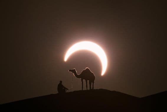 Éclipse solaire annulaire dans le désert avec la silhouette d'un dromadaire.