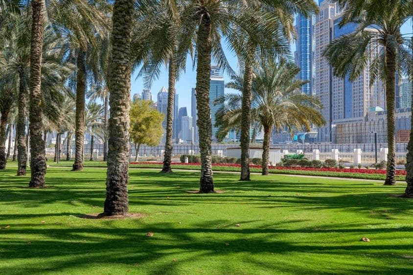 Oasis verte au cœur de Dubai.