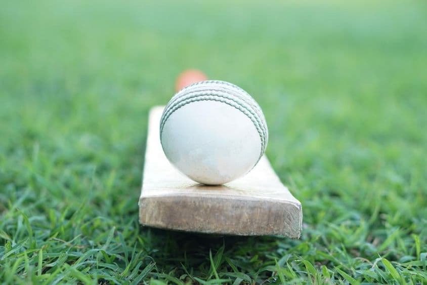 Balle de cricket blanche sur une batte en bois.