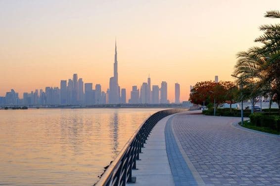 Belle promenade en bord de mer avec des arbres en fleurs, vue du centre-ville de Dubaï.