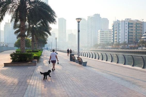Une femme promenant son chien dans la ville au lever du soleil.