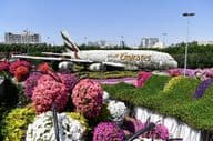 Dubai Miracle Garden pendant la journée.