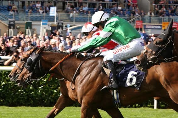 Course de chevaux légendaire, juste gagnant d'une courte tête.