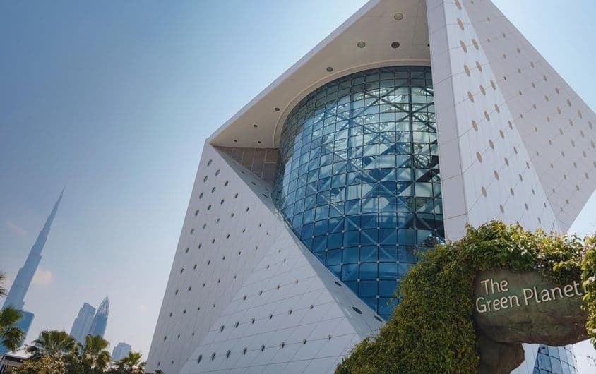 Un écosystème unique sur la planète verte à Dubaï.