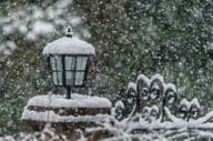 Chute de neige dans un jardin pendant l'hiver.