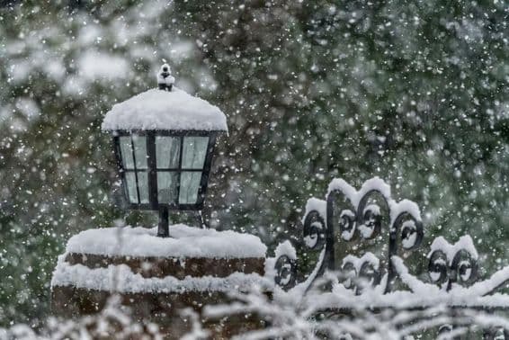 Chute de neige dans un jardin pendant l'hiver.