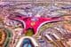 Abu Dhabi, le parc Ferrari World.