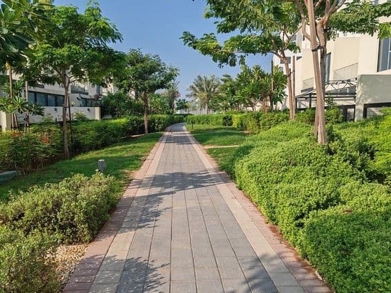 Dubaï, aménagement paysager vert et luxuriant avec des pelouses et des arbres.