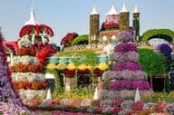 Jardin Miracle de Dubaï rempli de châteaux de contes de fées et de plus de 45 millions de fleurs.