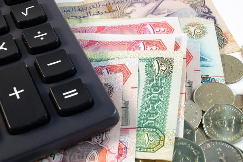 Divers billets et pièces des Émirats arabes unis en gros plan