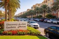 Système de stationnement à Discovery Gardens