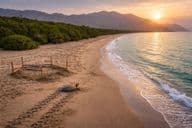 Trésor préservé de la plage de Kalba