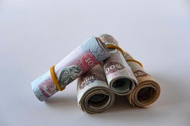 Collection de billets et pièces en dirhams des EAU