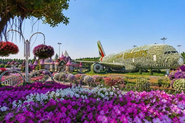Rêve d'avion couvert de fleurs