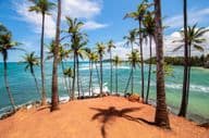Les palmiers de Mirissa, Sri Lanka