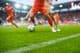 Herbe et ligne de touche sur terrain de football dans un stade